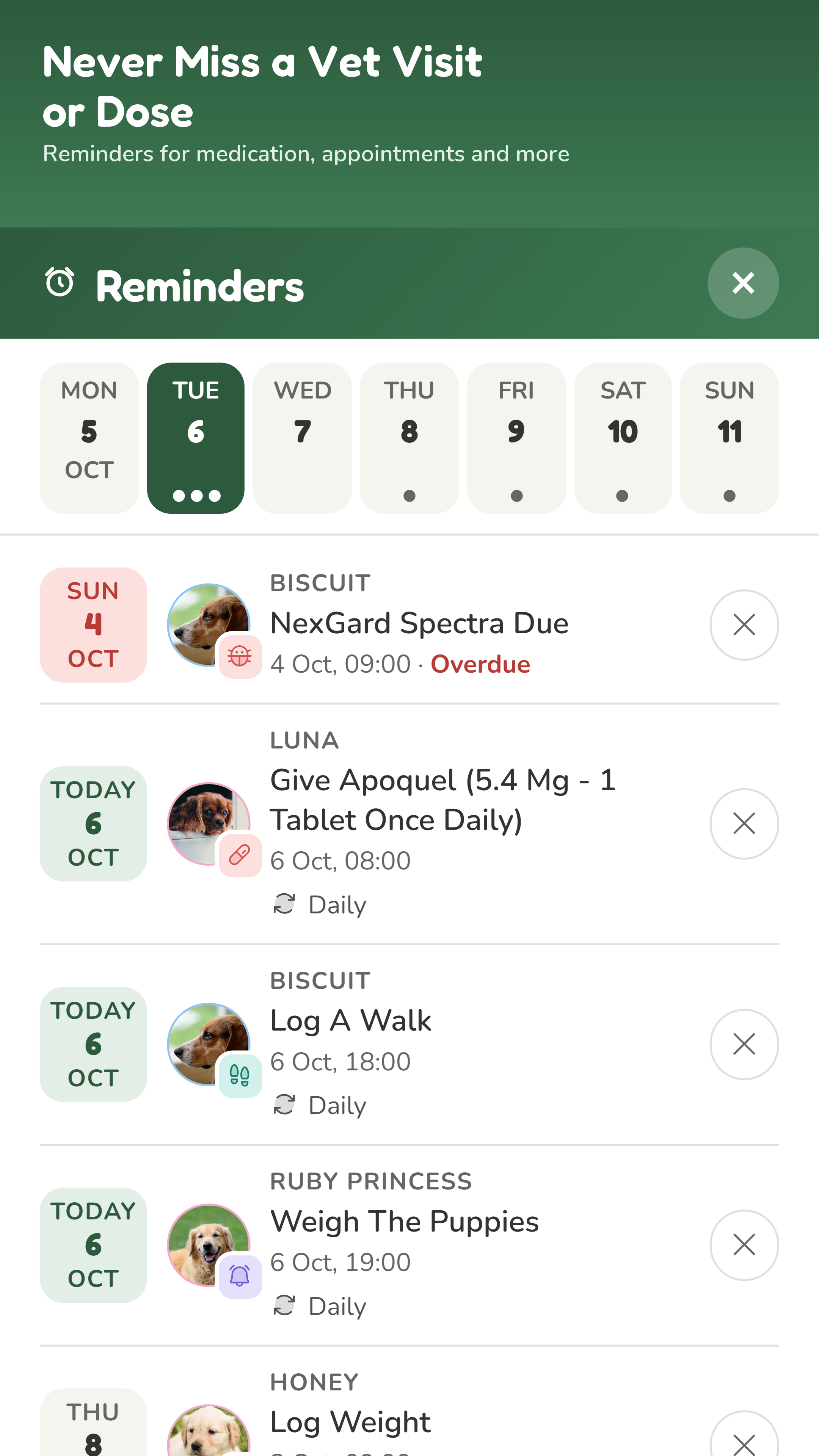 Dogpanion reminders for vet visits and medication
